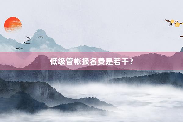 低级管帐报名费是若干？